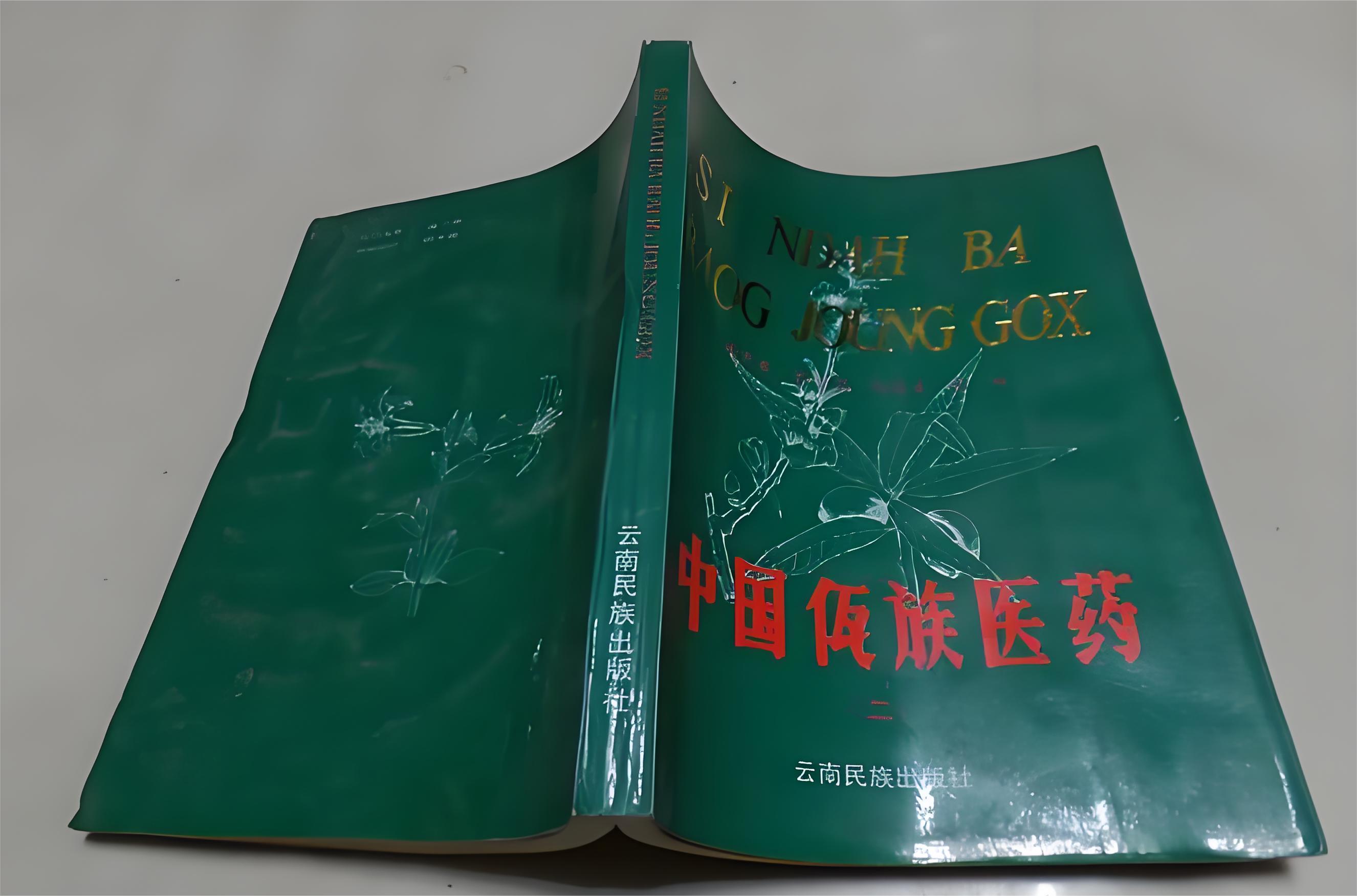 【民族佤医药知多少】第1期 续筋接骨的神奇草药——大驳骨