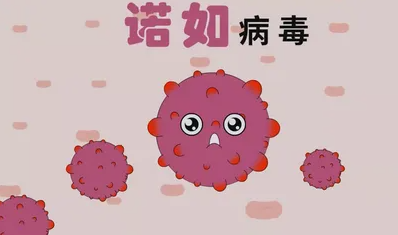 诺如病毒感染科普