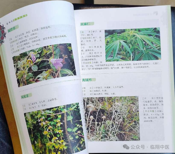 调整大小 微信图片_20241211153349.png